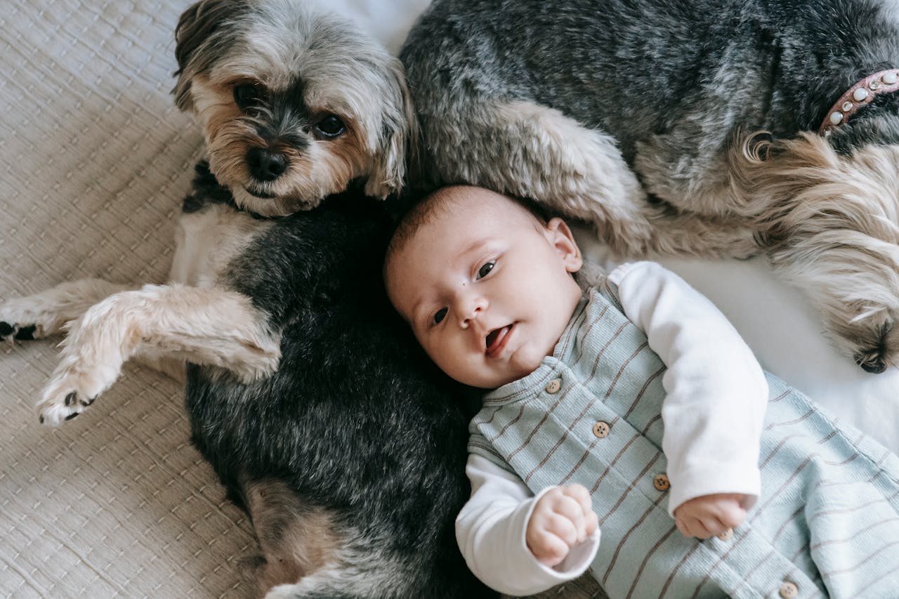 How to Introduce Pets to a New Baby: A Guide to a Smooth and Safe Transition